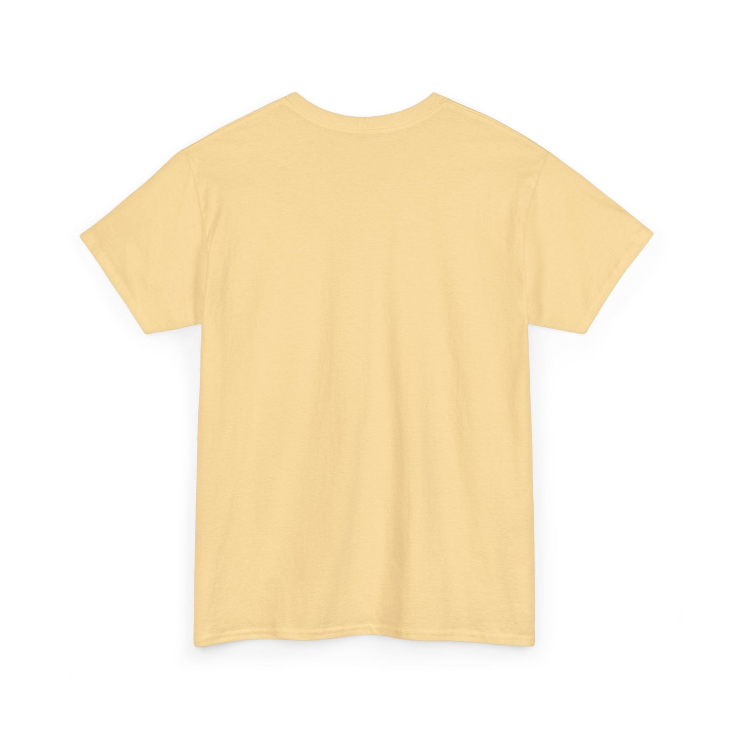 I can do all things T-Shirt Men's T-Shirt