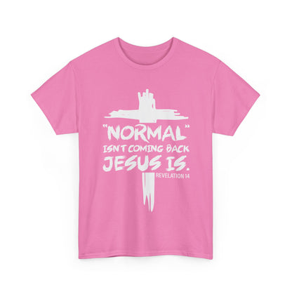 Normal isn't coming back Men's T-Shirt