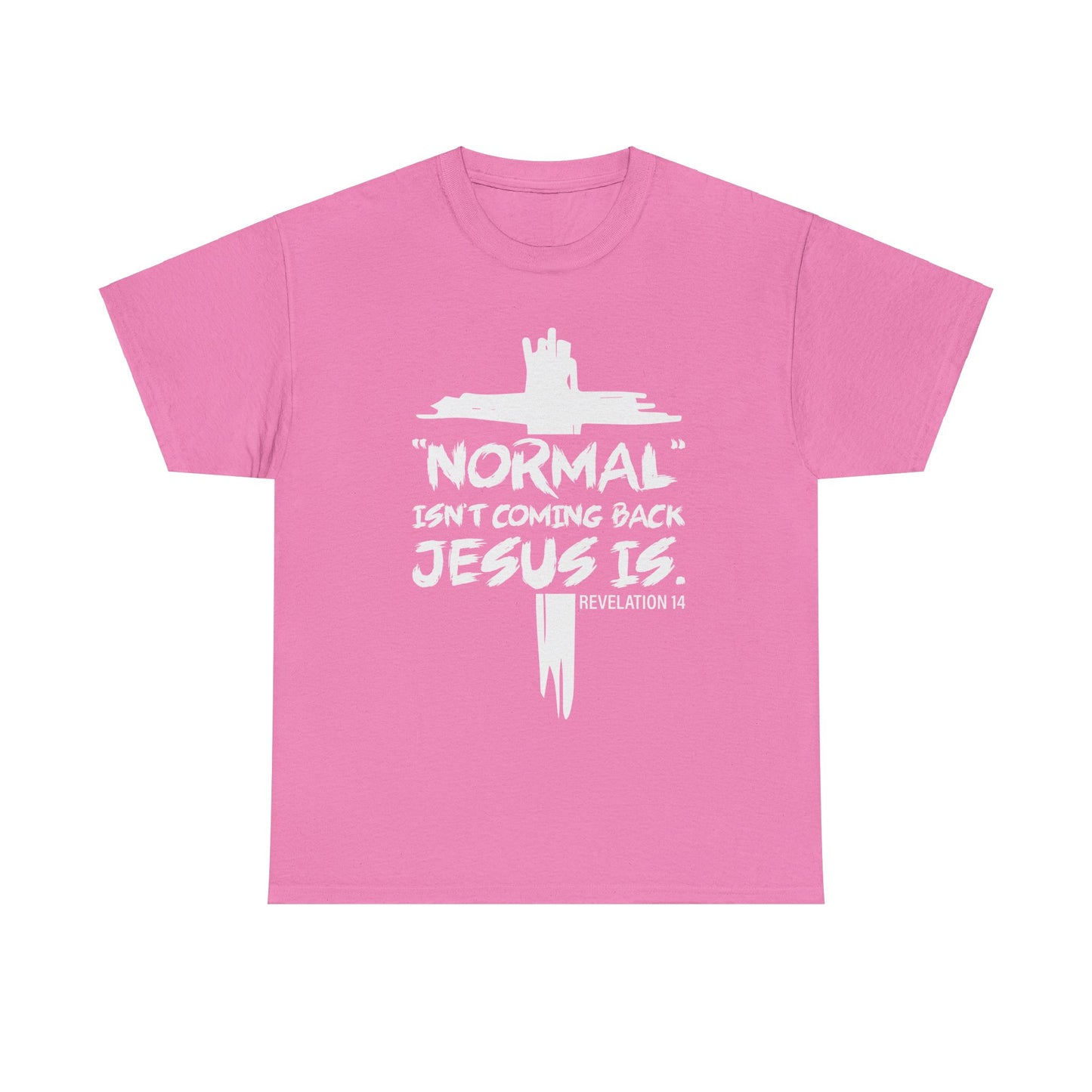 Normal isn't coming back Men's T-Shirt