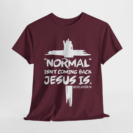 Normal isn't coming back Men's T-Shirt