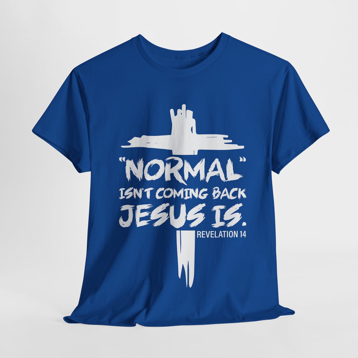 Normal isn't coming back Men's T-Shirt