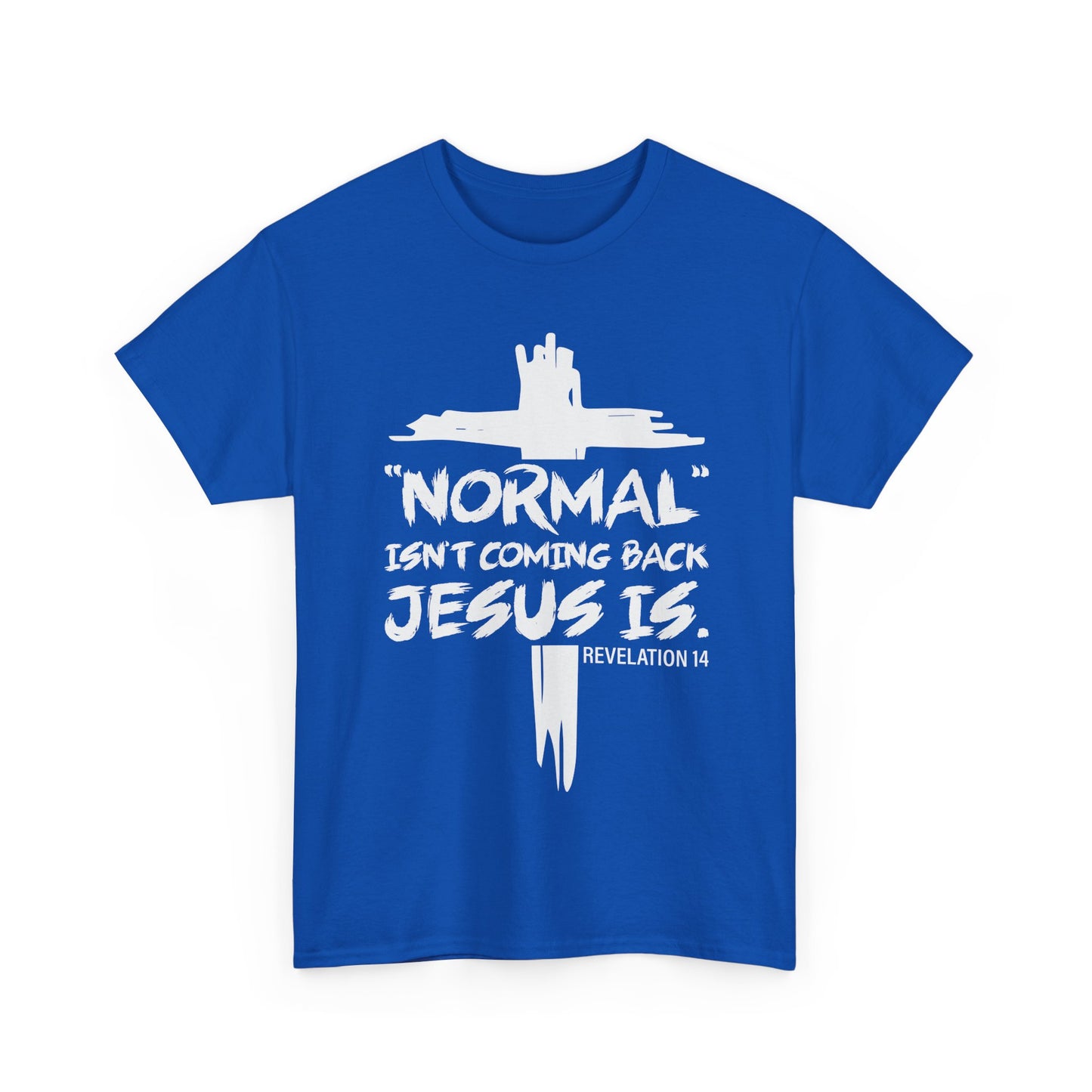 Normal isn't coming back Men's T-Shirt