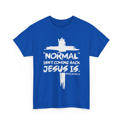 Normal isn't coming back Men's T-Shirt