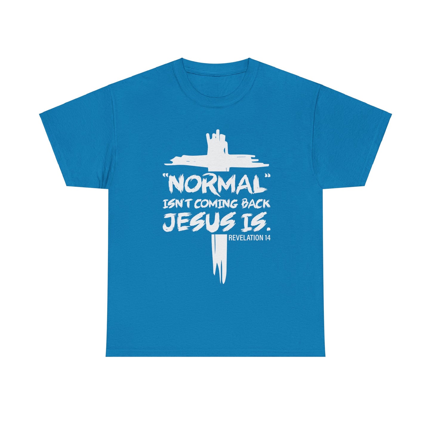 Normal isn't coming back Men's T-Shirt