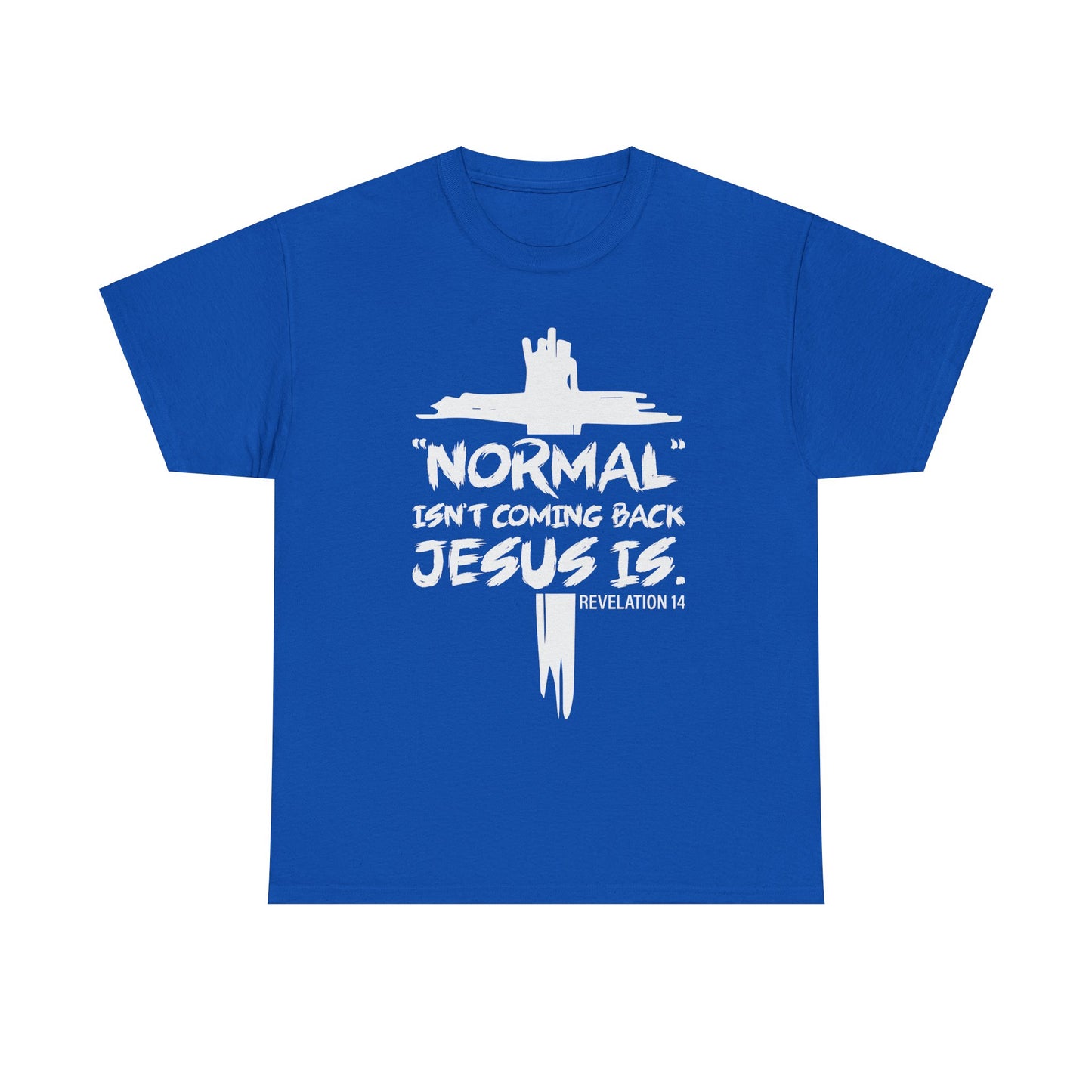 Normal isn't coming back Men's T-Shirt