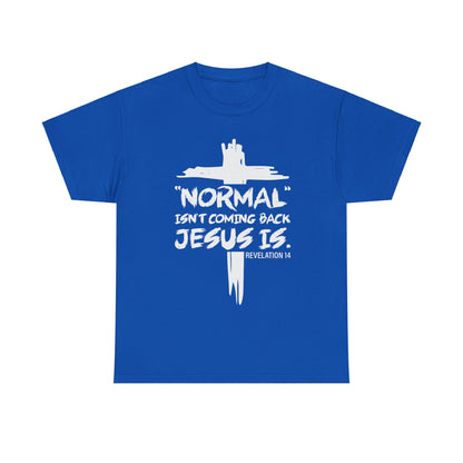 Normal isn't coming back Men's T-Shirt