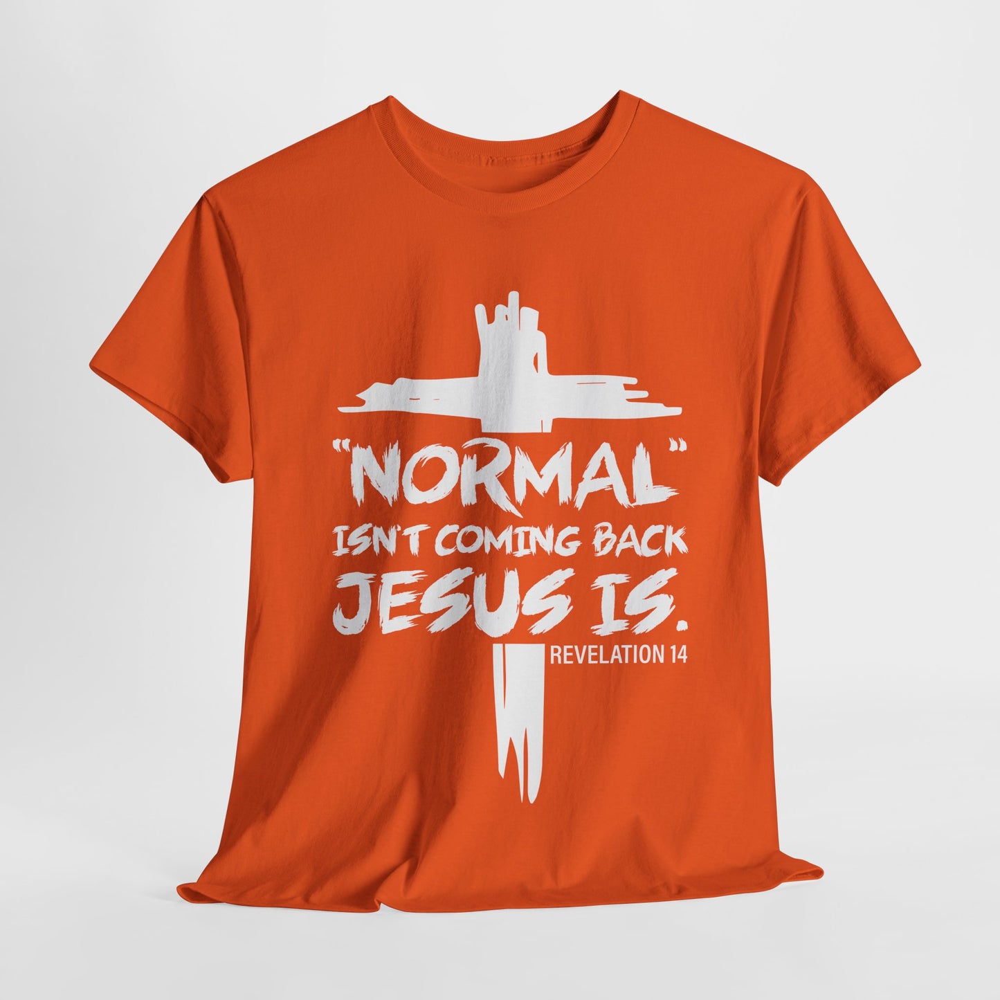 Normal isn't coming back Men's T-Shirt