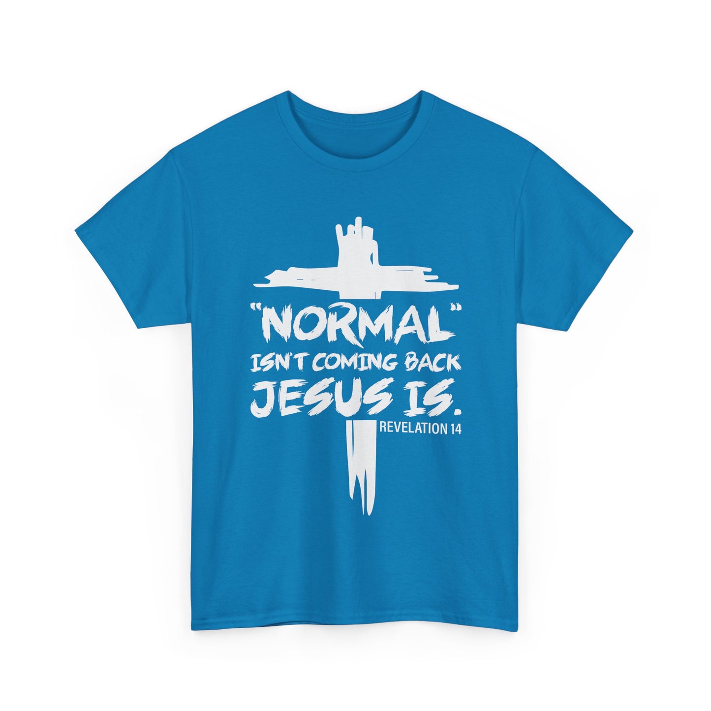 Normal isn't coming back Men's T-Shirt