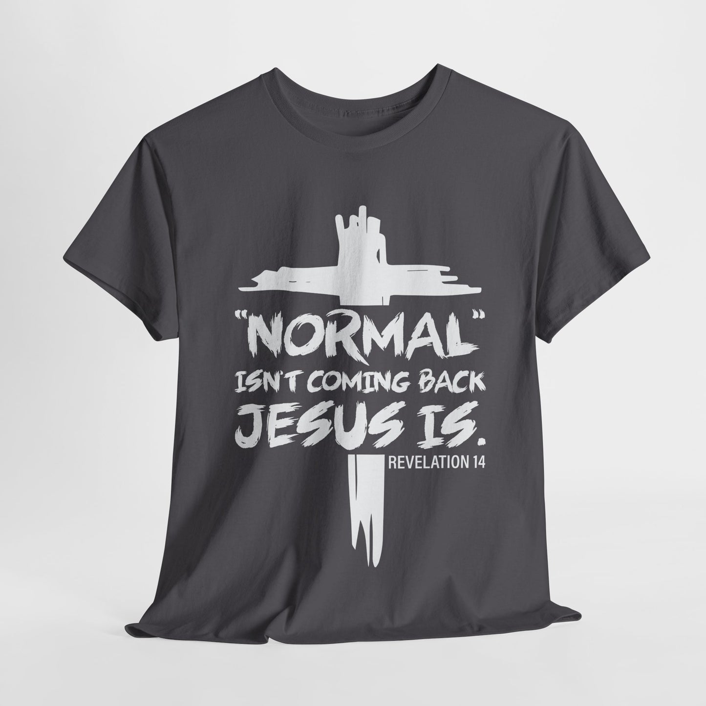 Normal isn't coming back Men's T-Shirt